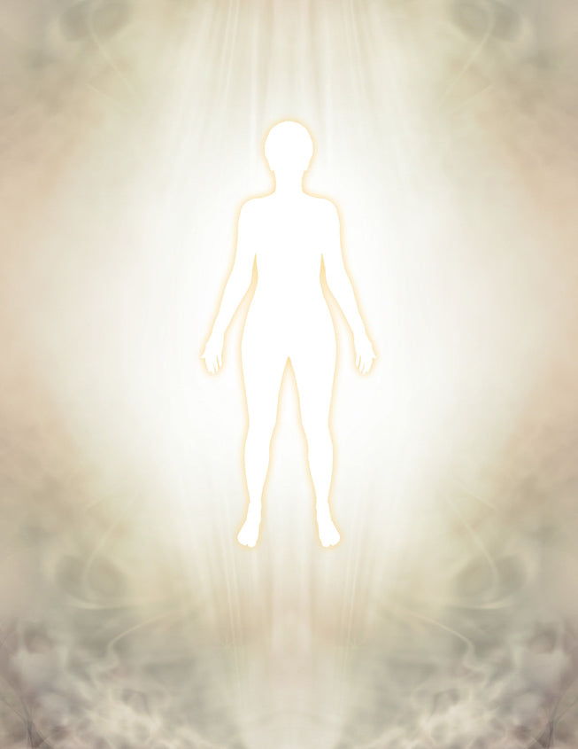 The Manifestation Portal